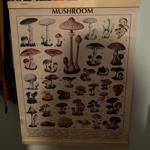 Mushroom poster